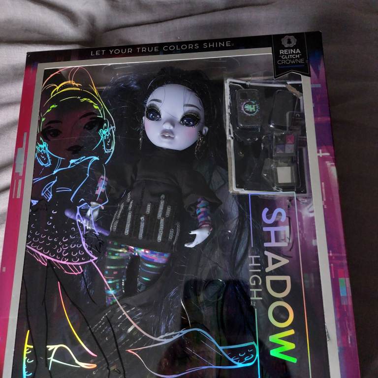 Bundle of 11 Rainbow and shadow high dolls and accessories and wardrobe 