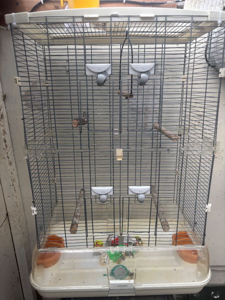 Large vision. Cage 