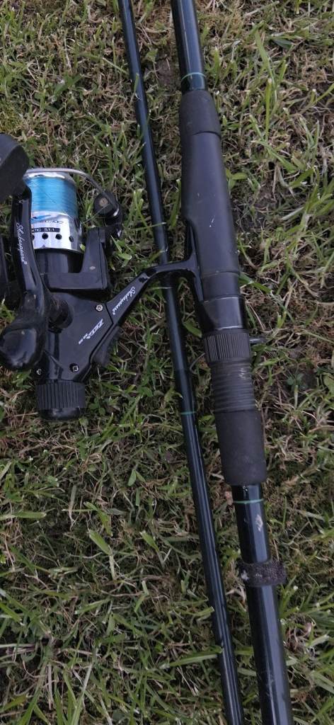 Carp Fish rods