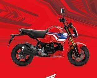 2026 NEW Honda MSX125 Grom, NEW COLOURS, TAKING ORDERS NOW! Learner Legal