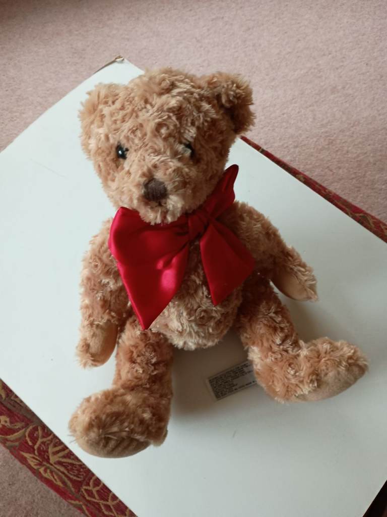 CHUBBY BEAR -  14 INCHES LONG -  NEW 