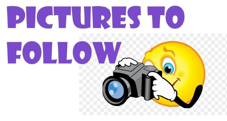 Ford TRANSIT 460 TREND 17 SEAT MINIBUS 