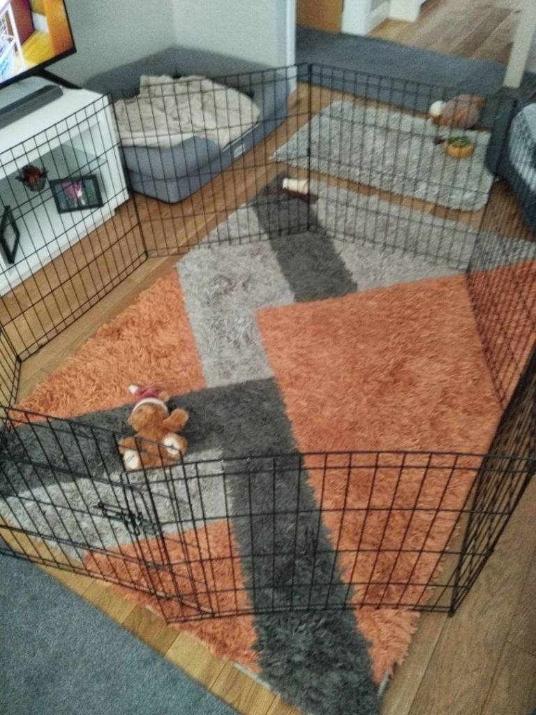 Dog cage 
