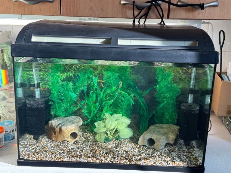 Complete Tropical Aquarium