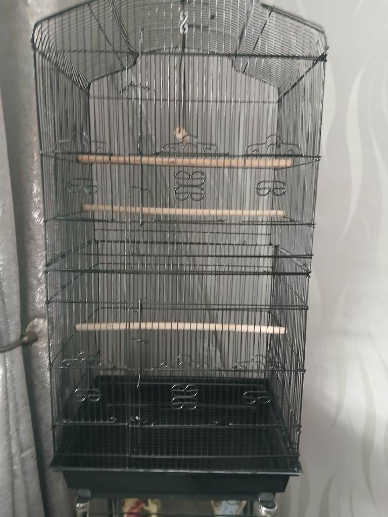 Bird cage 