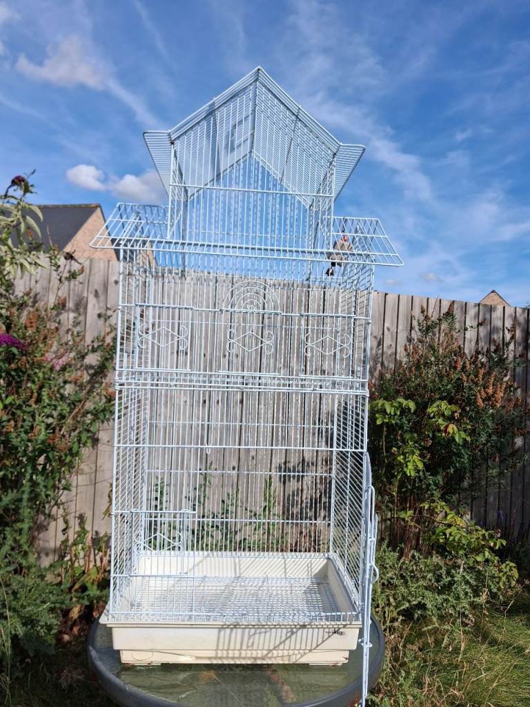 Large White Decorative Bird Cage with Accessories – Excellent Condition