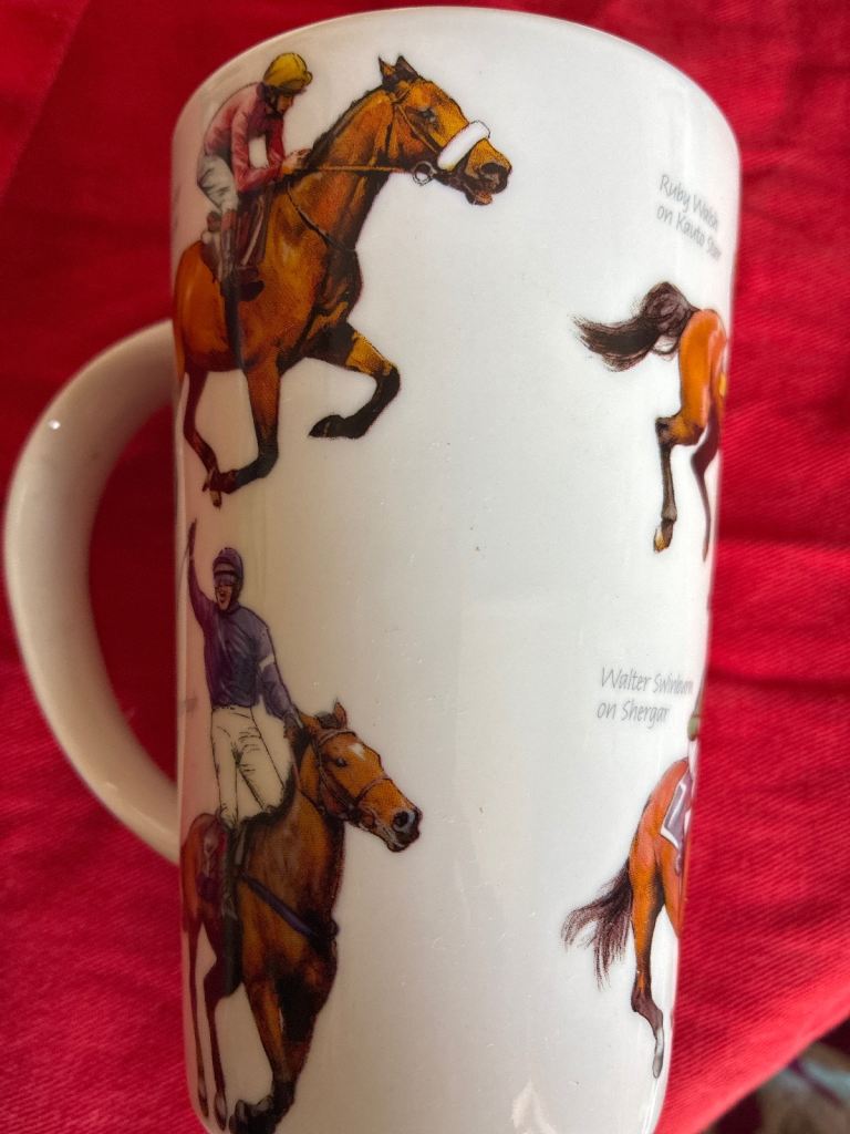 Leonardo Mug winning post 