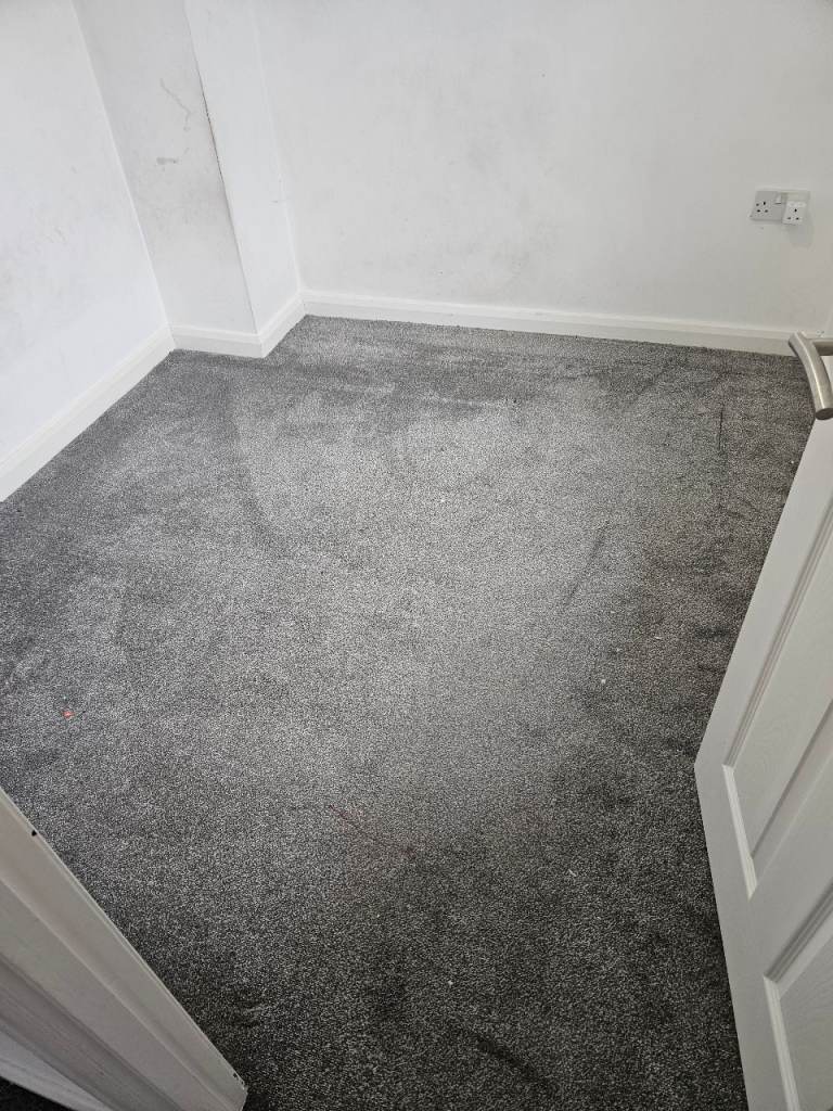 Carpet cleaning services 