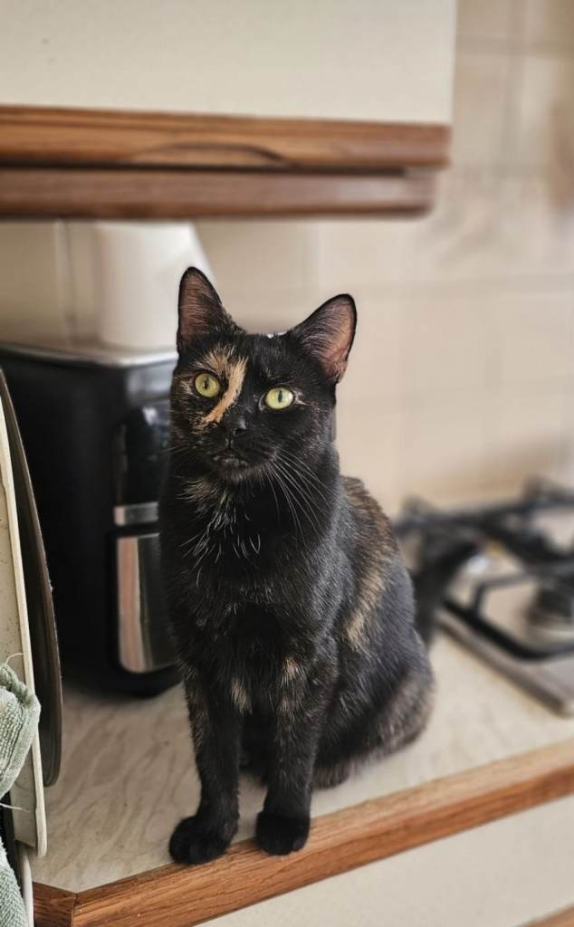Bella