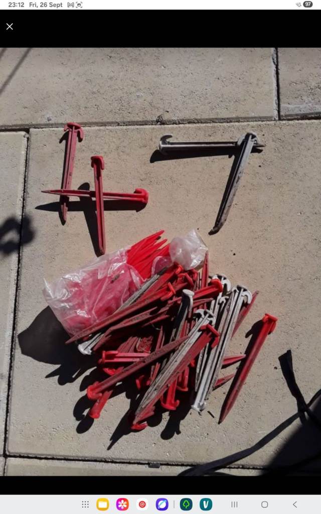 Assorted tent / awning pegs