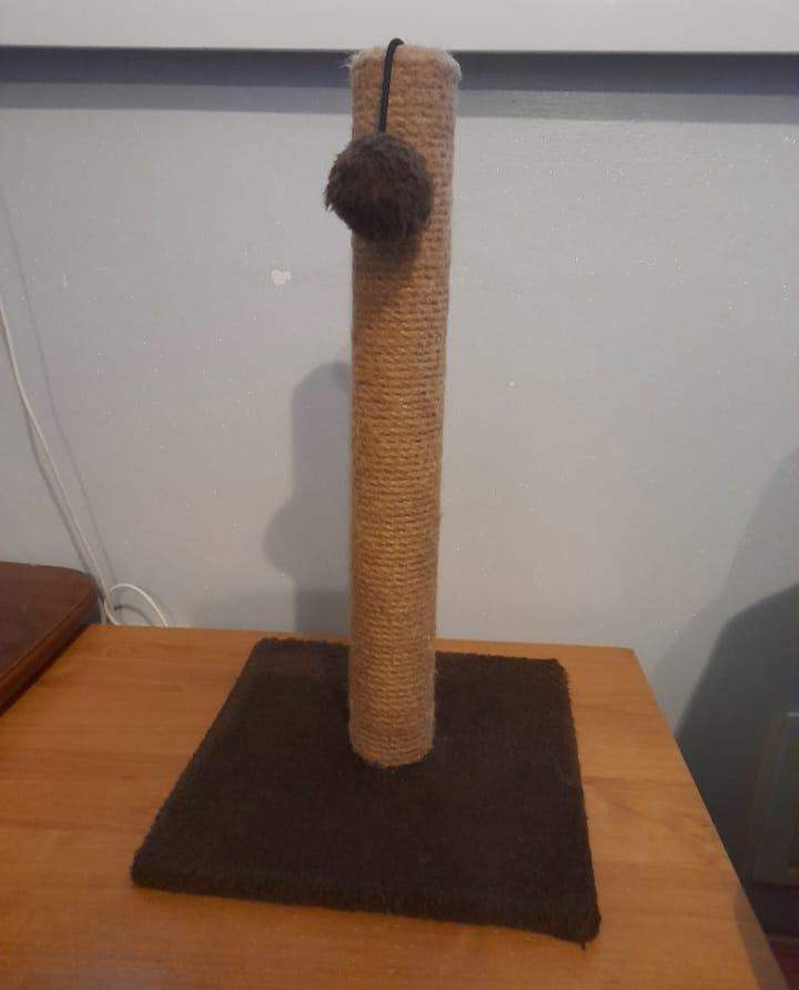 Cat Scratching Post for Kitten