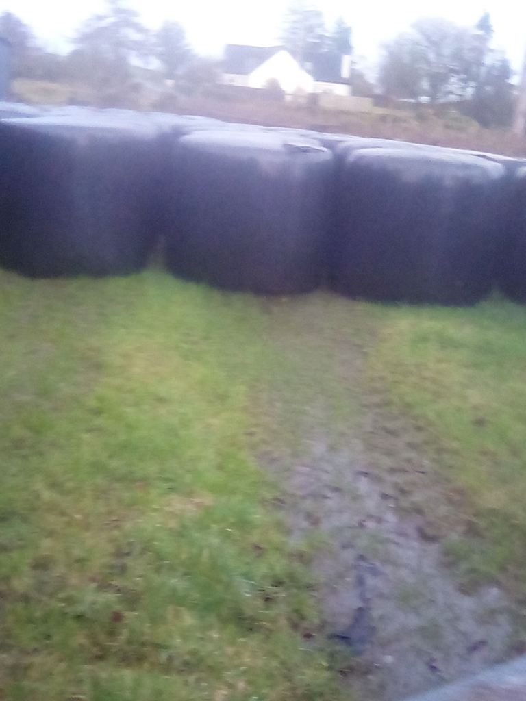 Round Bale Silage