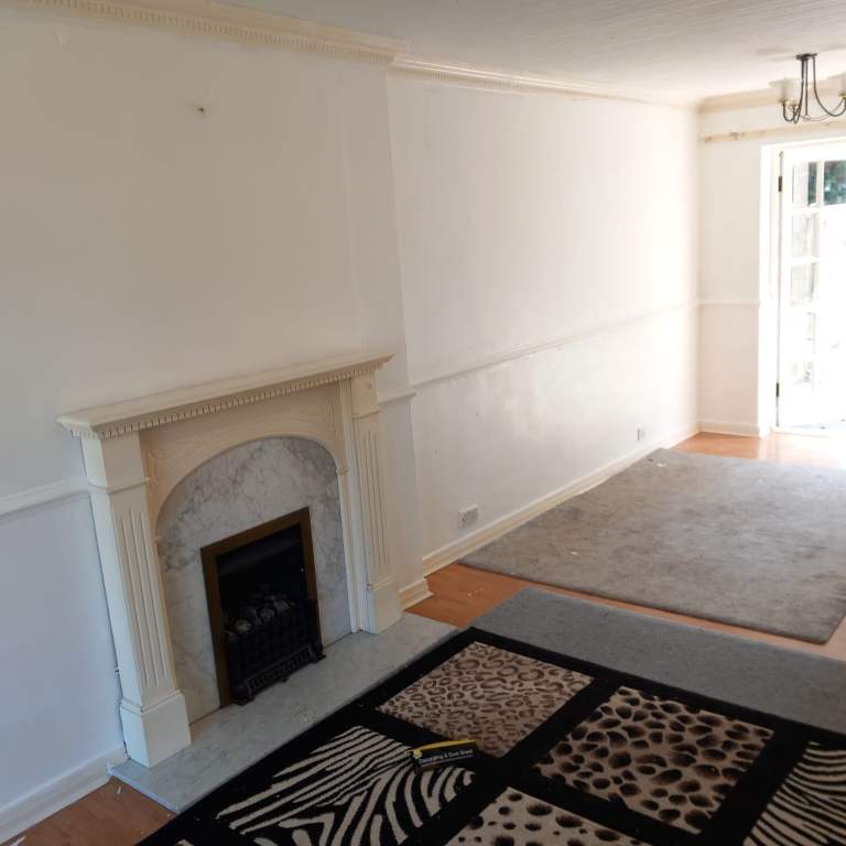 Professional painter 