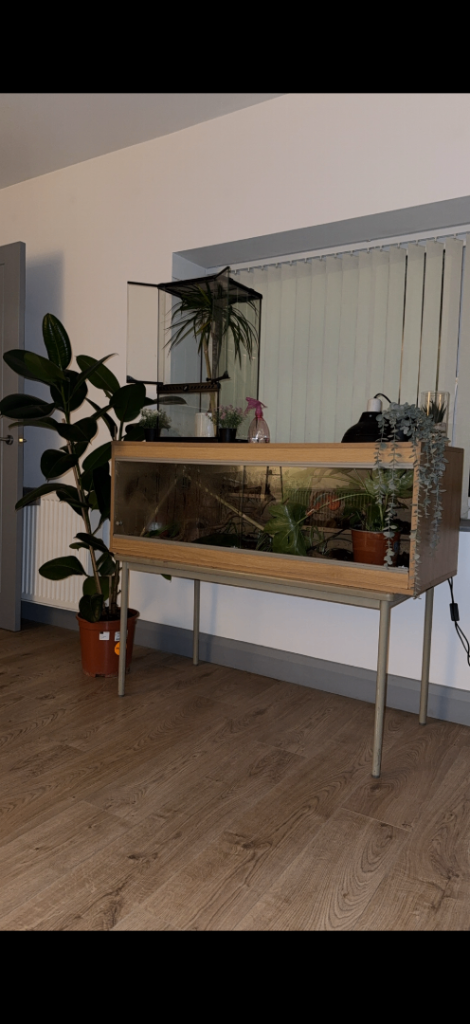 2 Reptile Enclosure/tanks/ vivariums.