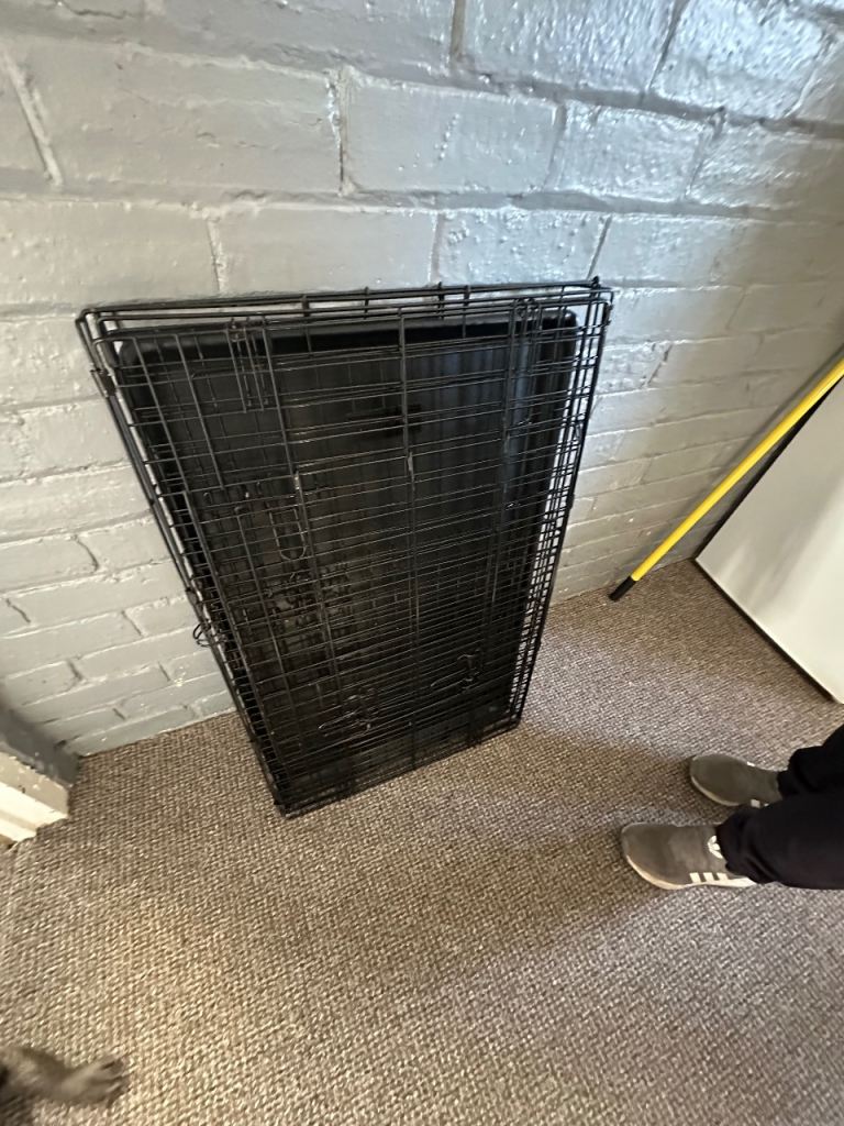 Dog cage 