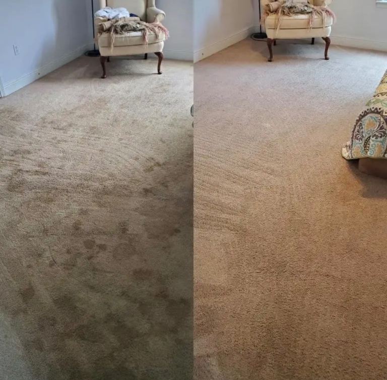 Carpet cleaning 