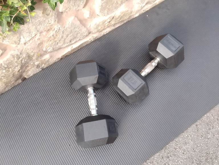 Pair of 17.5KG Steel Fixed Dumbbells
