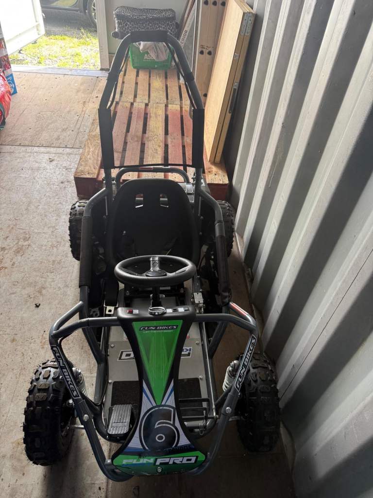 48v 1000watt electric buggy 