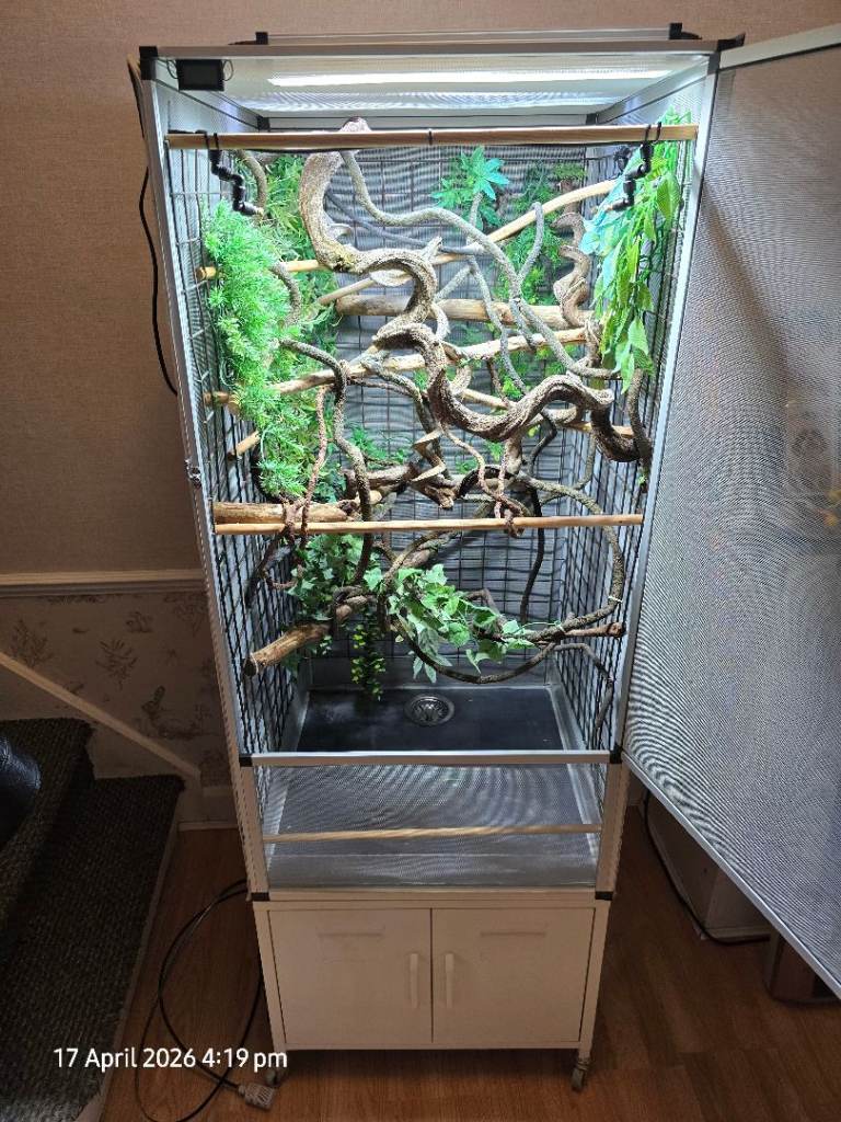 Reptibreeze large setup