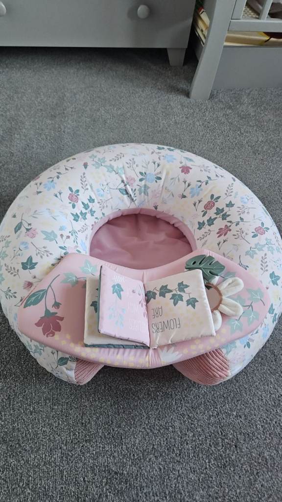 image for Baby sit me up 