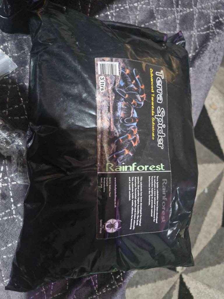 Flat packet glass terrarium