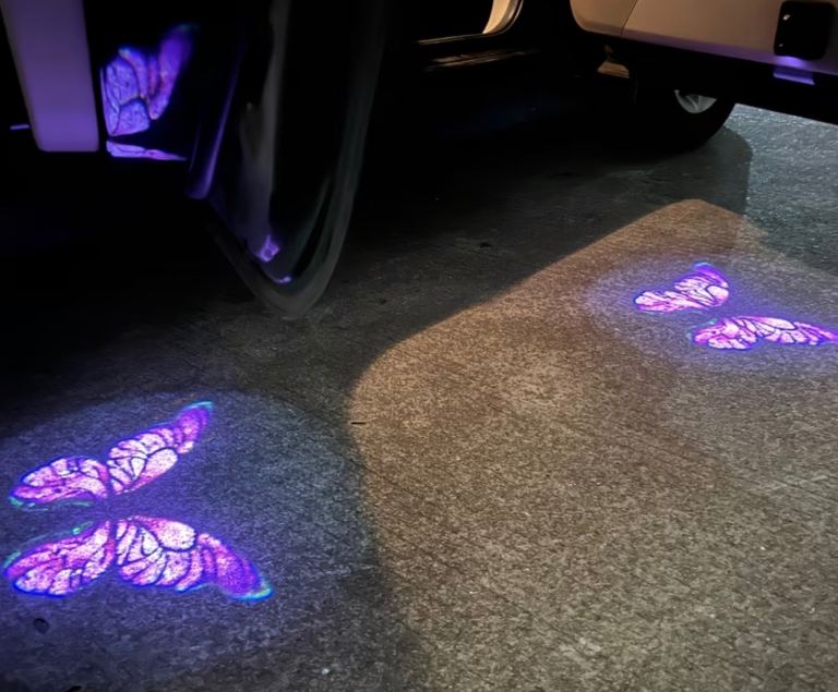 Car door projector light 