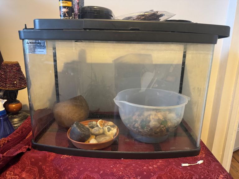 Fish Tank (Used Condition) 