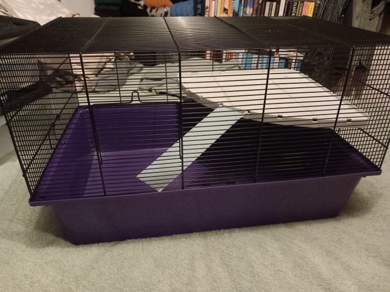 Hamster cage