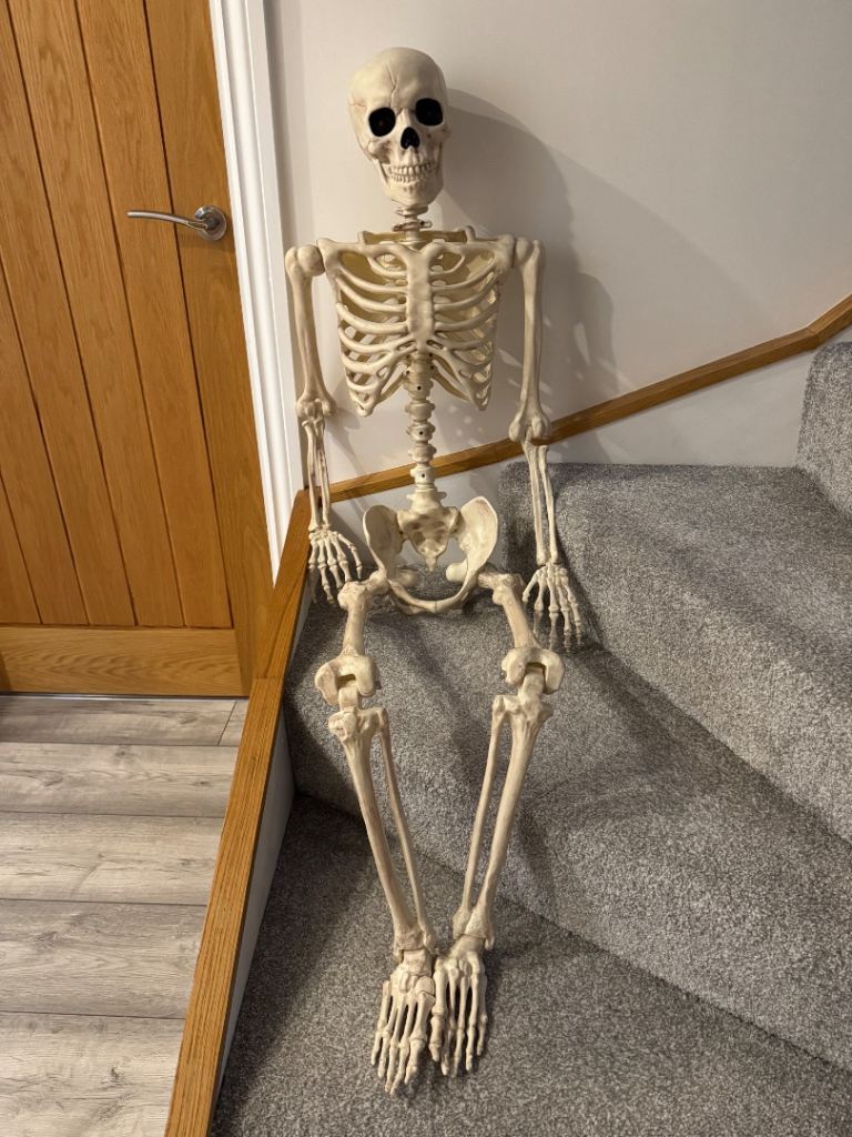 Halloween Skeleton & Decorations - As Good As New