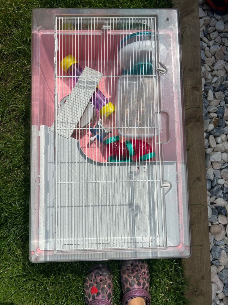 Hamster cage 