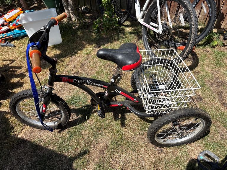 Mantis Tricycle with Basket – Good Condition