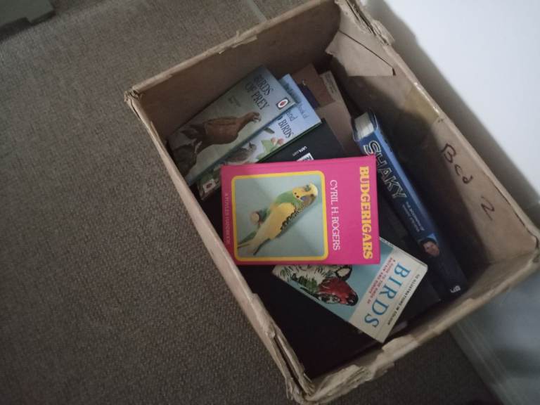 Collection of assorted books 