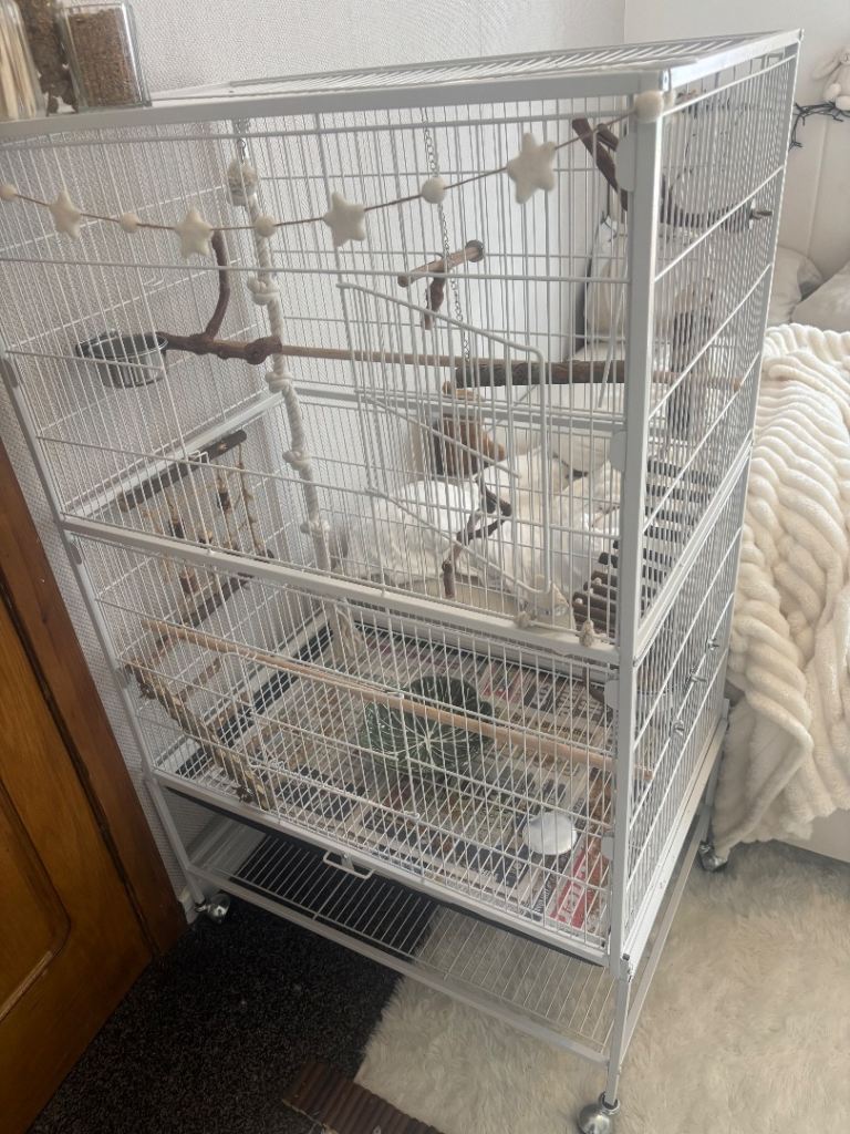Large bird cage 