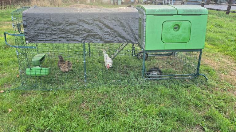 Omlet chicken coop 3m run