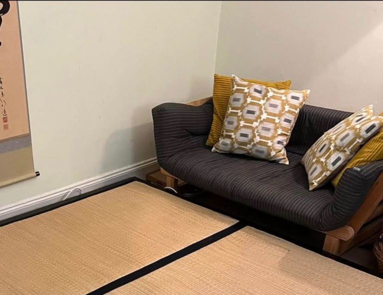 Futon Company Sofa Bed