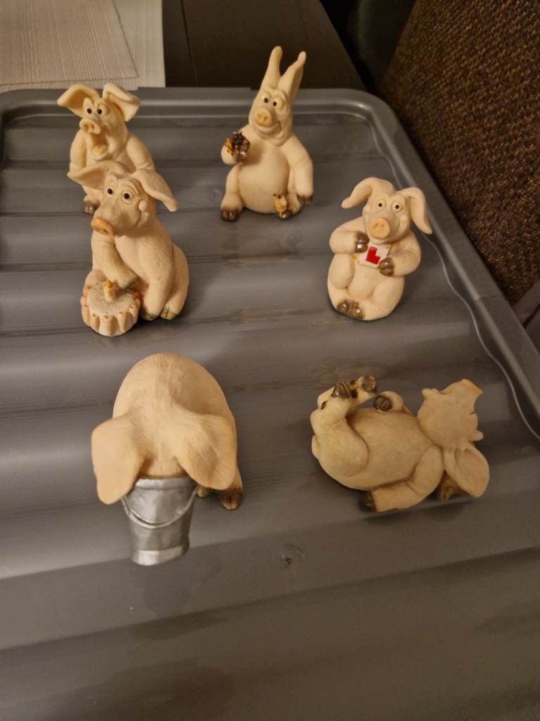 Large piggin pigs 