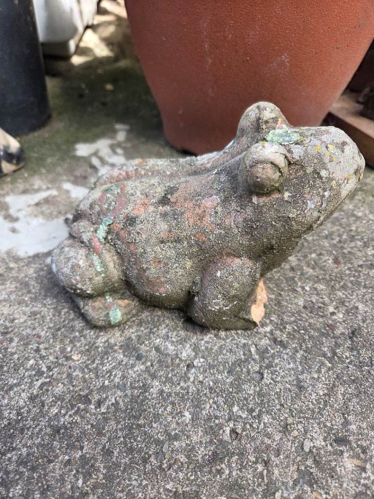 Terracota frog 