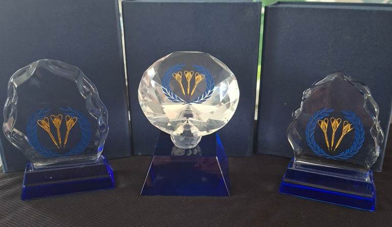 Darts Trophies