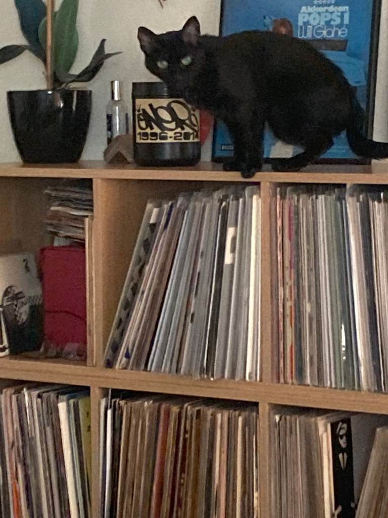 VINYL RECORDS WANTED - CASH PAID - SOUTH WALES