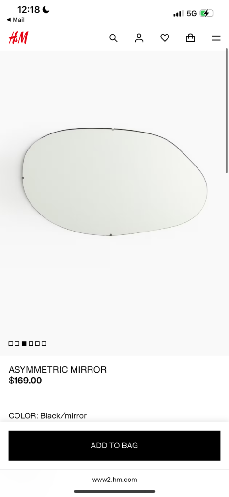 HM Asymmetric Mirror