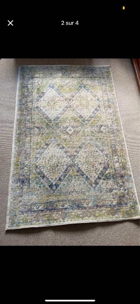 Persian Style Area Rug – Green/Blue Tones – Excellent Condition