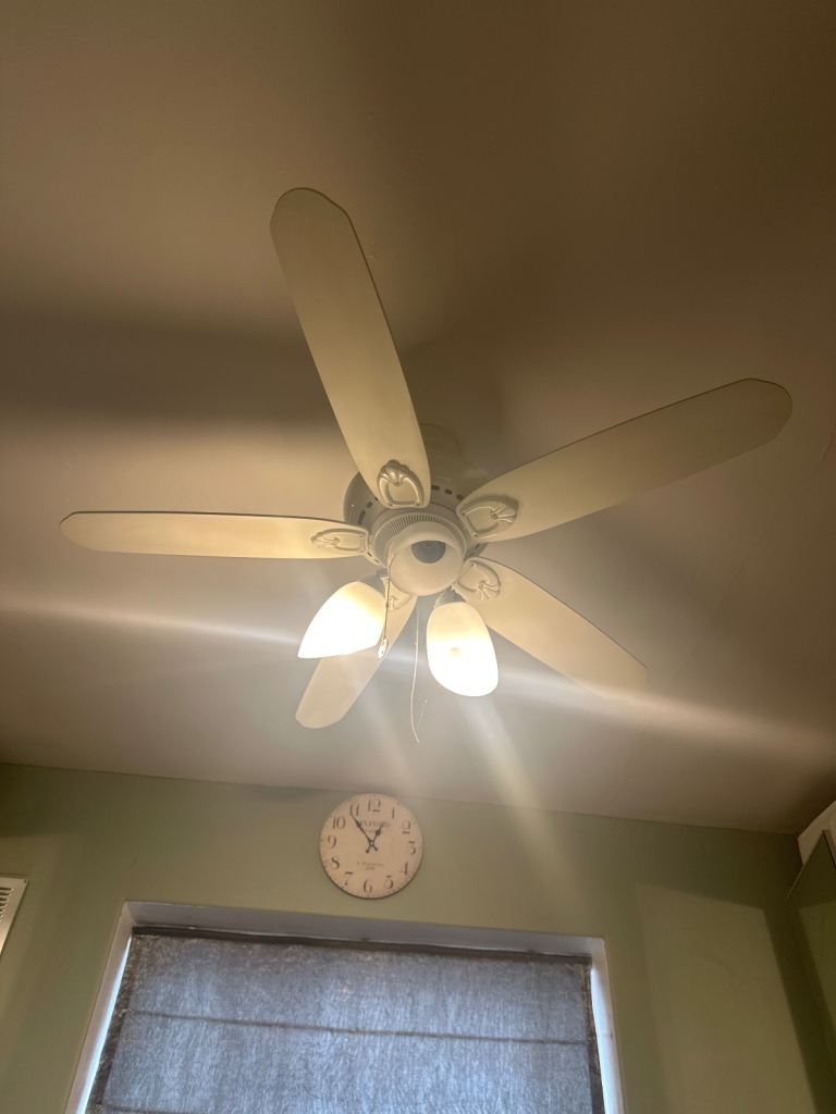 Ceiling fan and light