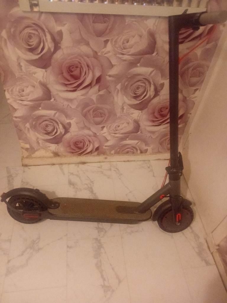 adult electric scooter