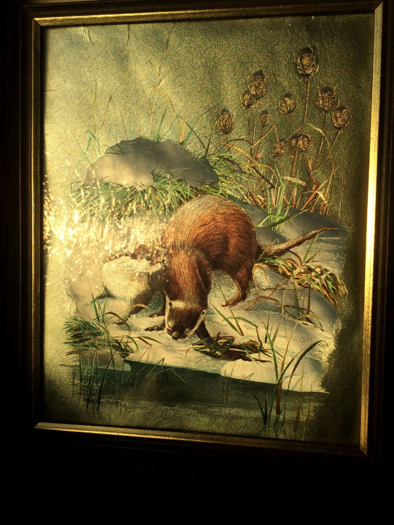 Vintage framed Otter illustration