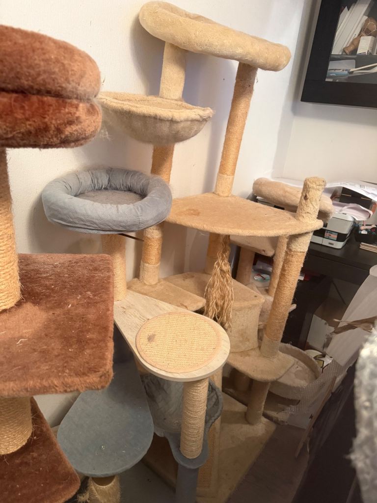 Cat trees free