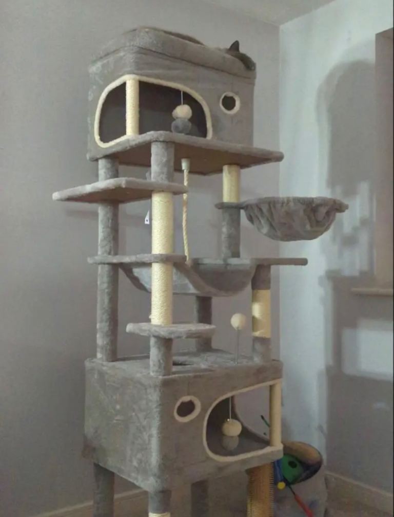 178cm cat tree new