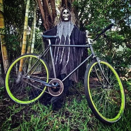Single speeds are us 