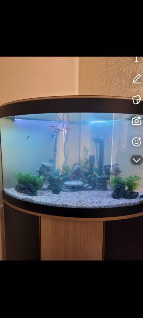 Corner fish tank