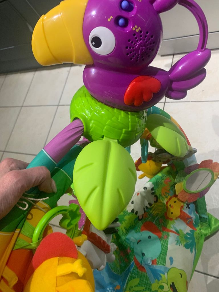 image for Fisher Price jungle gym