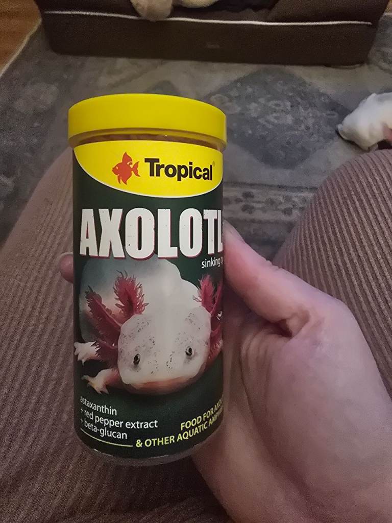 Axolotl food